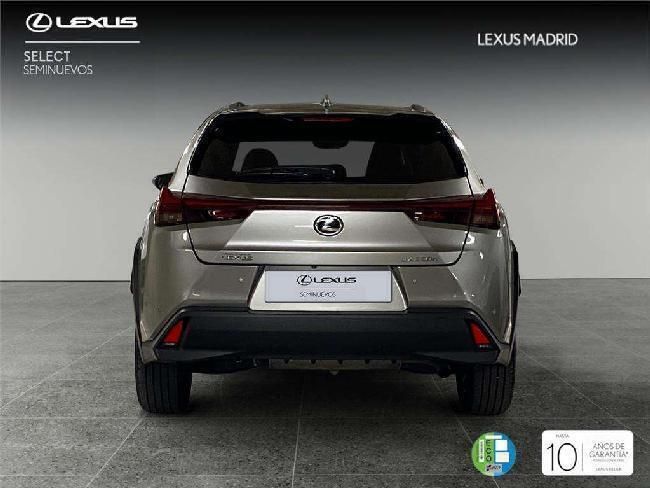 Usado Lexus UX 2024 SUV