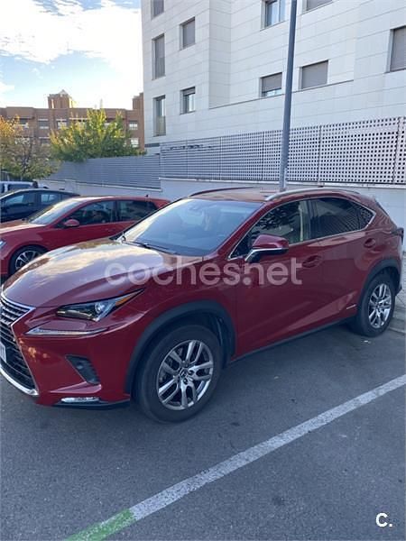 Usado Lexus NX300h Luxury Line 197 CV (144 kW) 2019 Granate SUV