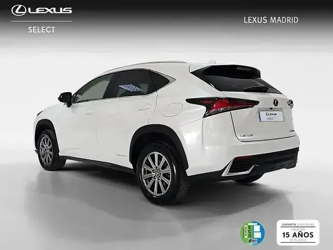 Usado Lexus NX300h Business Edition 197 CV (144 kW) 2019 Blanco SUV
