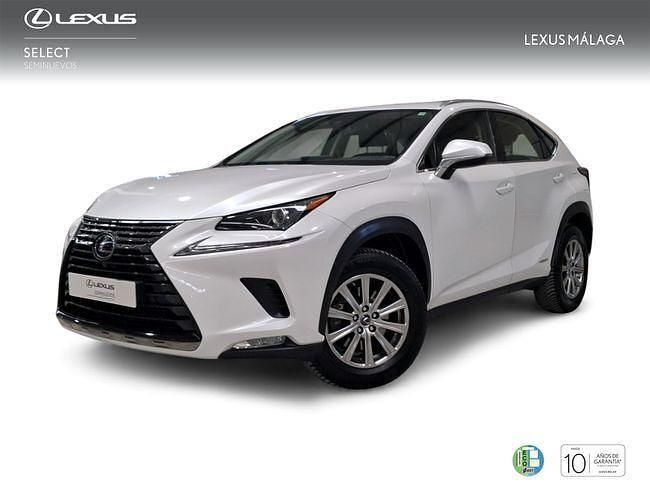 Usado Lexus NX300h Business Edition 197 CV (144 kW) 2019 Blanco SUV
