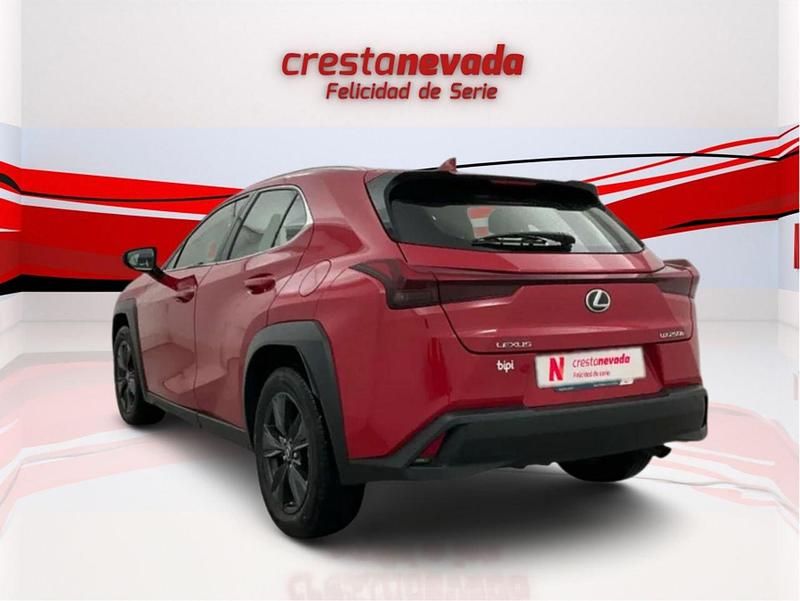Usado Lexus UX Business Edition 152 CV (111 kW) 2022 Rojo SUV