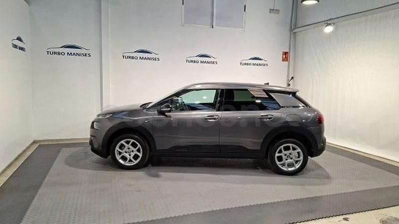 Usado Citroën C4 Cactus Shine 102 CV (75 kW) 2023 Blanco Utilitario