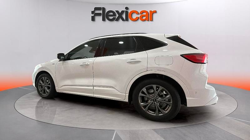 Usado Ford Kuga ST-Line X 150 CV (110 kW) 2022 Blanco SUV