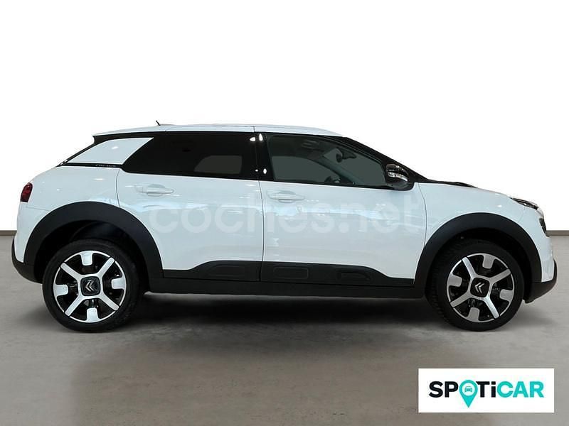Usado Citroën C4 Cactus Shine 120 CV (88 kW) 2019 Blanco Utilitario