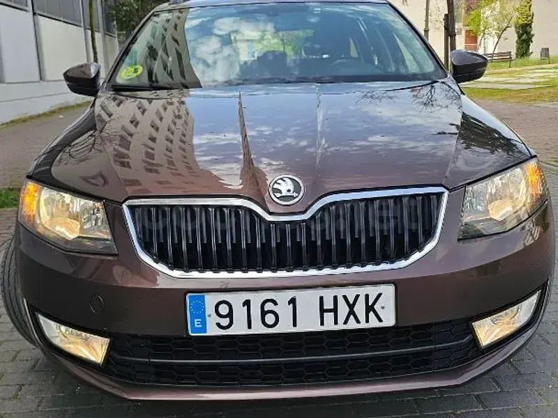 Usado Skoda Octavia Elegance 105 CV (77 kW) 2014 Marrón Familiar