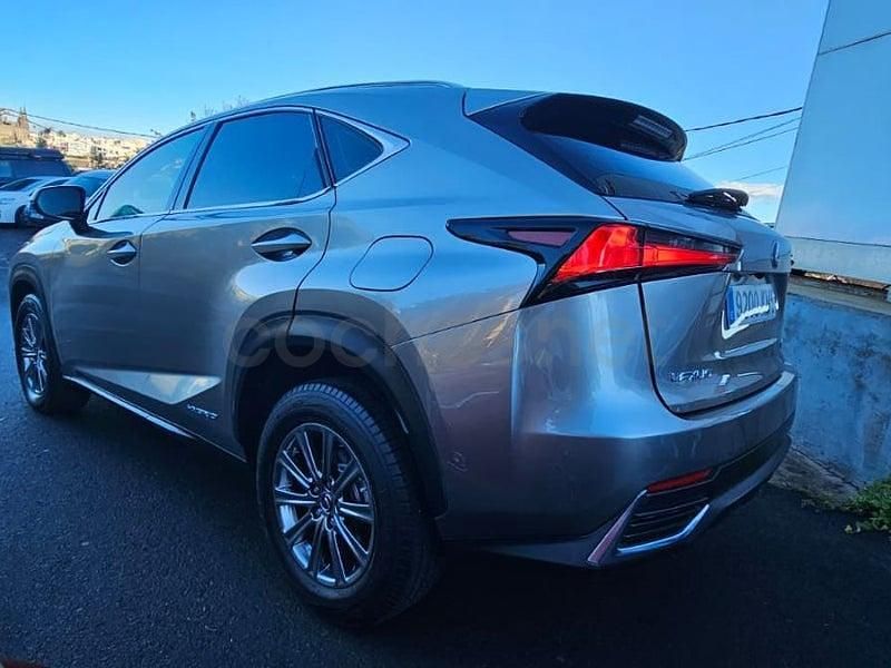 Usado Lexus NX300h Business Edition 197 CV (144 kW) 2018 Gris / plata SUV