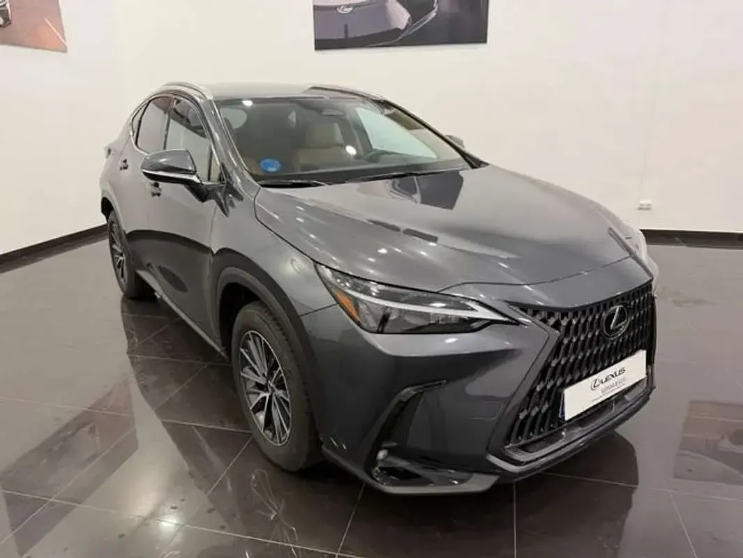 Usado Lexus NX450h+ 218 CV (160 kW) 2025 Gris SUV