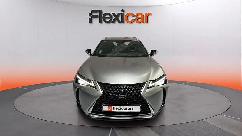 Usado Lexus UX Business Edition 184 CV (135 kW) 2020 Beige SUV