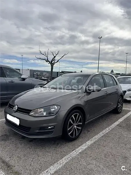 Usado VW Golf VII Edition 105 CV (77 kW) 2014 Gris / plata Berlina