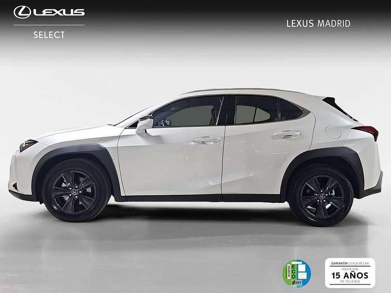 Usado Lexus UX 300h 200 CV (147 kW) 2025 Blanco SUV