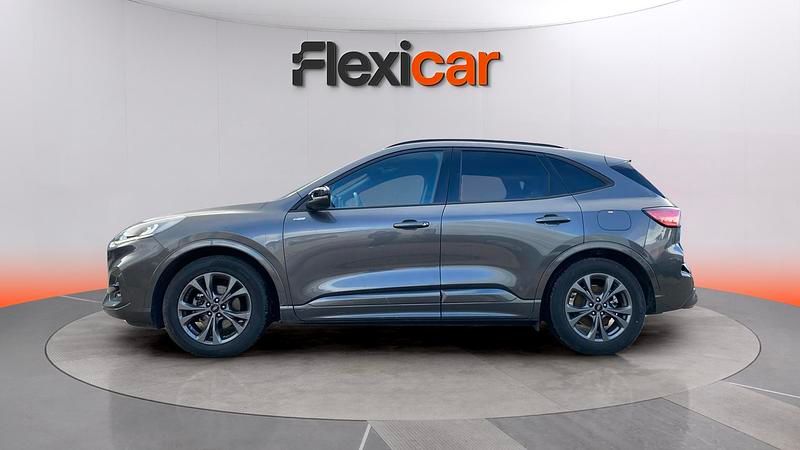 Usado Ford Kuga ST-Line 120 CV (88 kW) 2024 Gris SUV