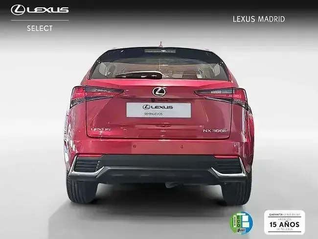 Usado Lexus NX300h Business Edition 197 CV (144 kW) 2020 Rojo SUV