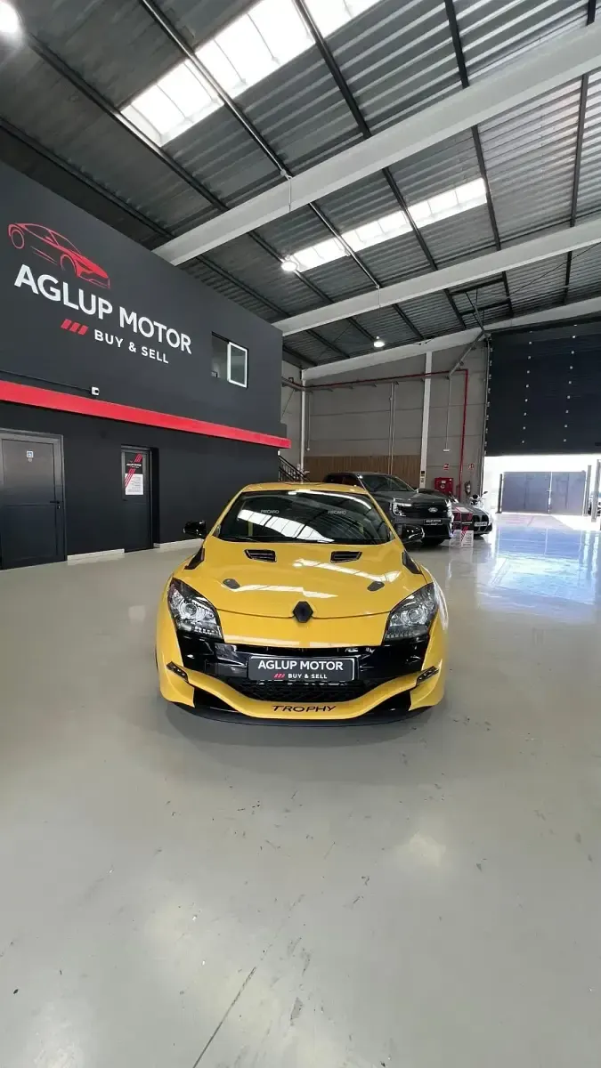 Usado Renault Mégane Coupé R.S. 250 CV (183 kW) 2010 Amarillo Coupe