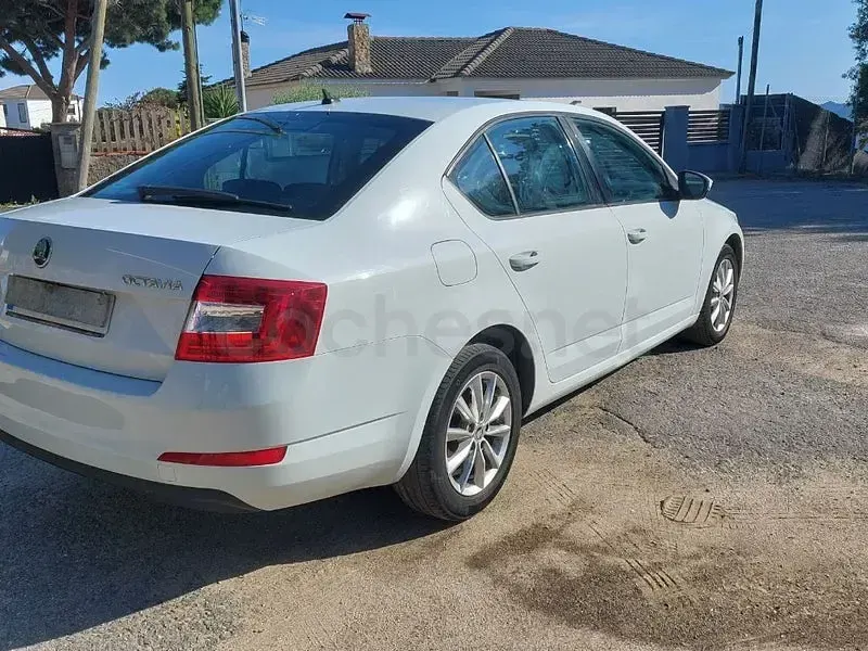 Usado Skoda Octavia Ambition 115 CV (84 kW) 2016 Blanco Familiar