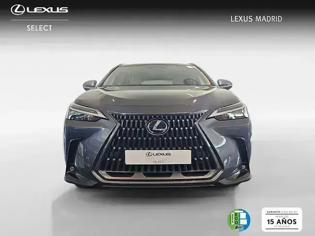 Usado Lexus NX350h Executive Line 242 CV (177 kW) 2022 Gris SUV