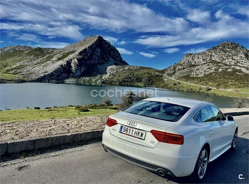 Usado Audi A5 Sportback S-Line 245 CV (180 kW) 2013 Blanco Utilitario