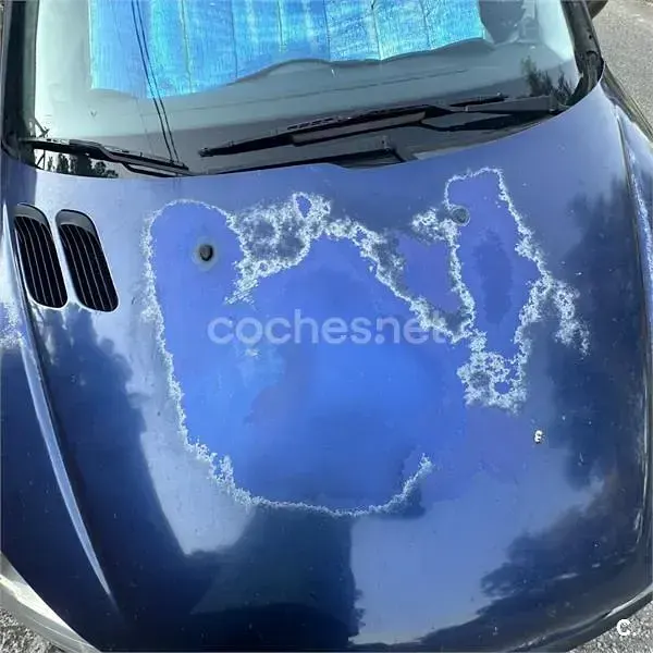 Usado Peugeot 206 70 CV (51 kW) 2004 Azul Berlina