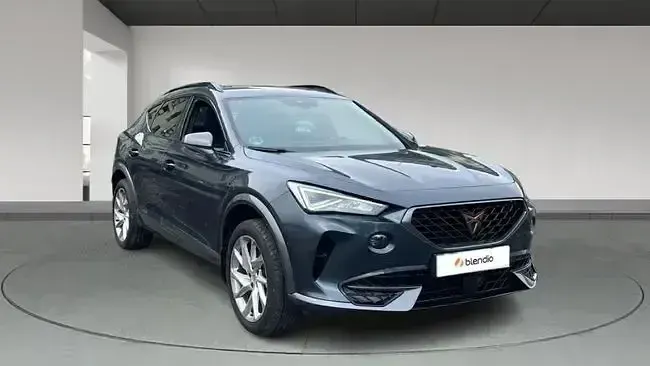 Usado Cupra Formentor 150 CV (110 kW) 2021 Azul SUV