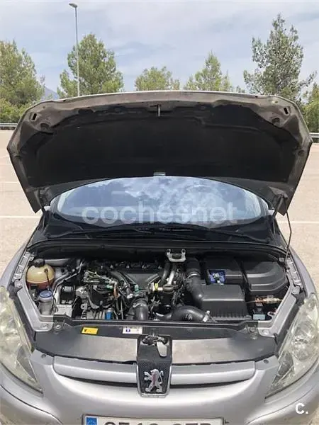 Usado Peugeot 307 136 CV (100 kW) 2004 Gris / plata Berlina