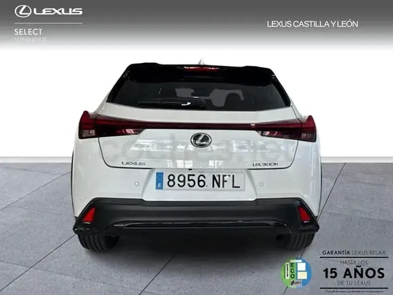 Usado Lexus UX Sport Line 199 CV (146 kW) 2025 Blanco SUV