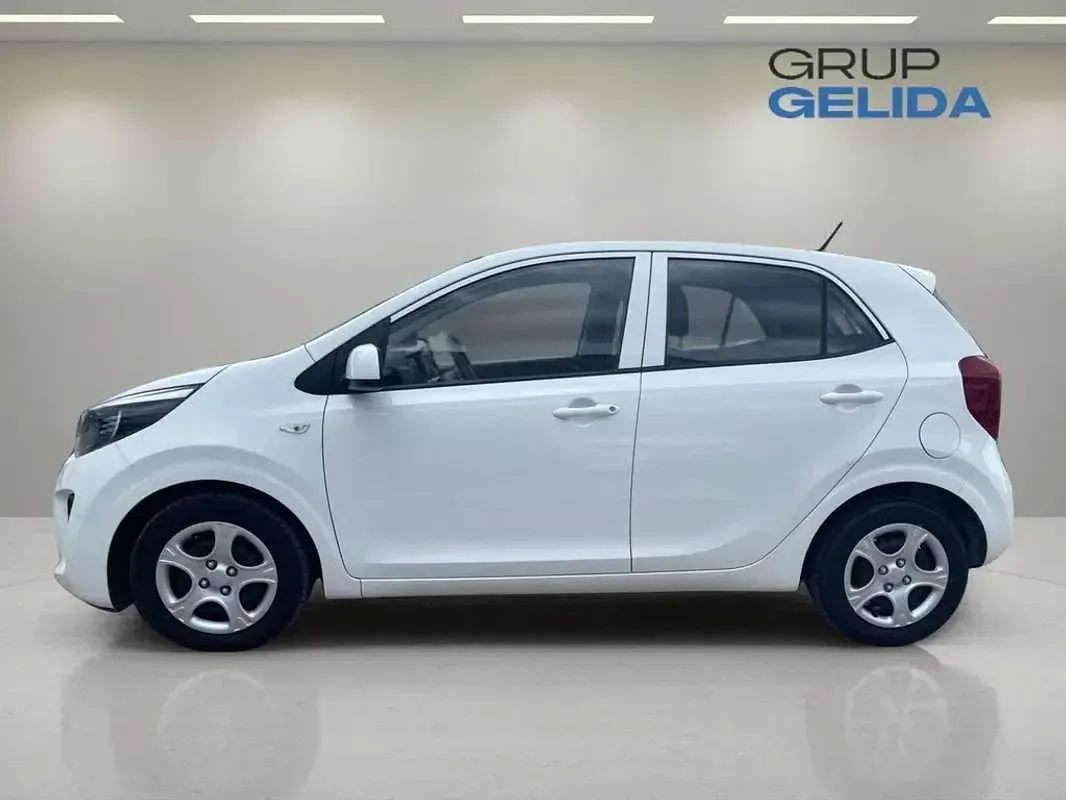Usado Kia Picanto 67 CV (49 kW) 2024 Blanco Utilitario