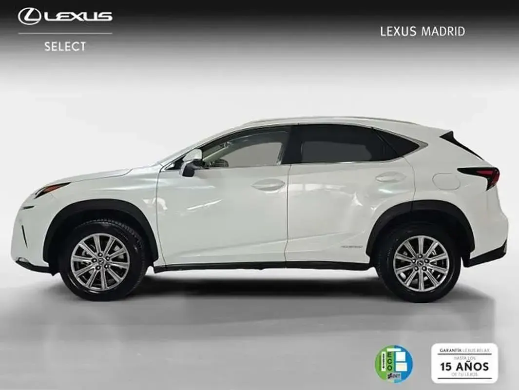Usado Lexus NX300h Business Edition 197 CV (144 kW) 2019 Blanco SUV