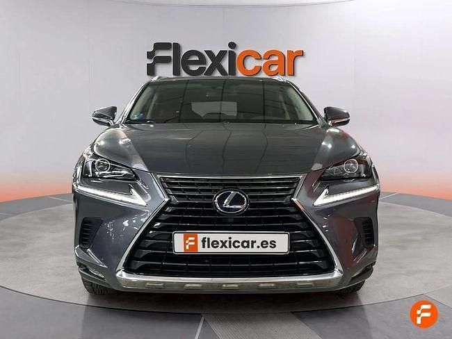 Usado Lexus NX300h Business Edition 197 CV (144 kW) 2019 Gris SUV
