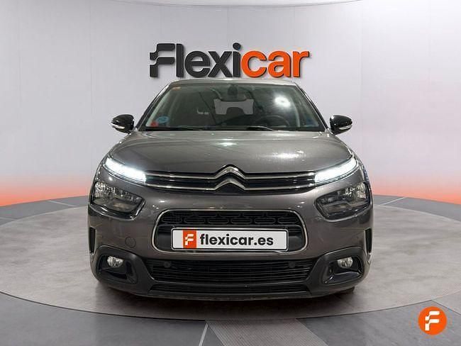Usado Citroën C4 Cactus Feel 110 CV (80 kW) 2018 Gris Utilitario