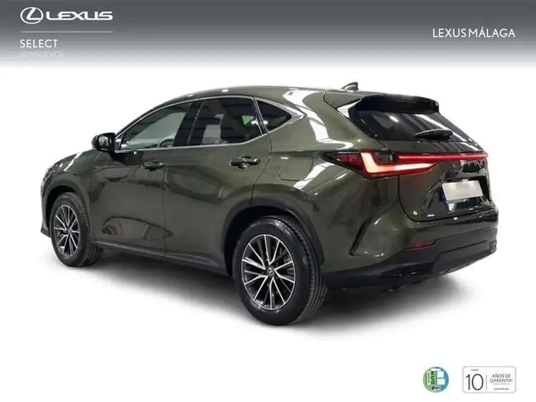 Usado Lexus NX350h Executive Line 242 CV (177 kW) 2023 Verde SUV