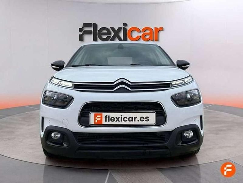 Usado Citroën C4 Cactus Feel 110 CV (80 kW) 2019 Blanco Utilitario