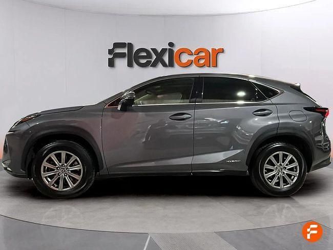 Usado Lexus NX300h Business Edition 197 CV (144 kW) 2019 Gris SUV