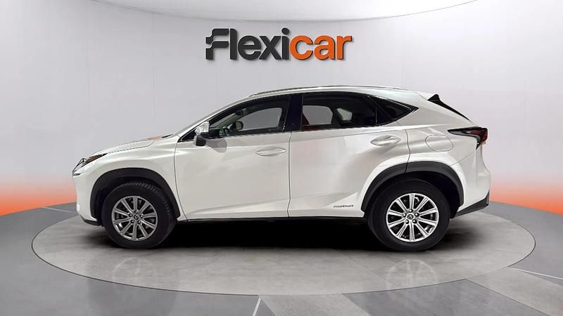 Usado Lexus NX300h Executive Line 197 CV (144 kW) 2020 Blanco SUV