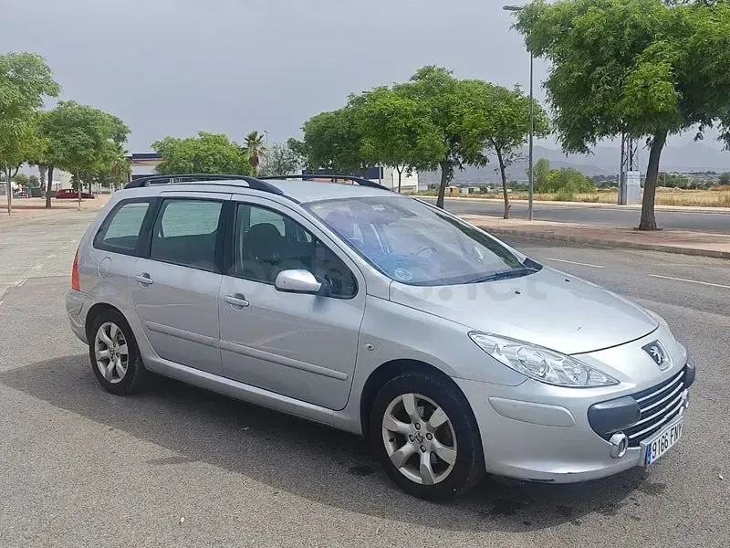 Usado Peugeot 307 110 CV (80 kW) 2007 Gris / plata Familiar