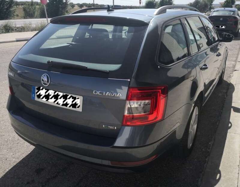 Brugt Skoda Octavia Ambition 131 HK (96 kW) 2019 Grå Stationcar