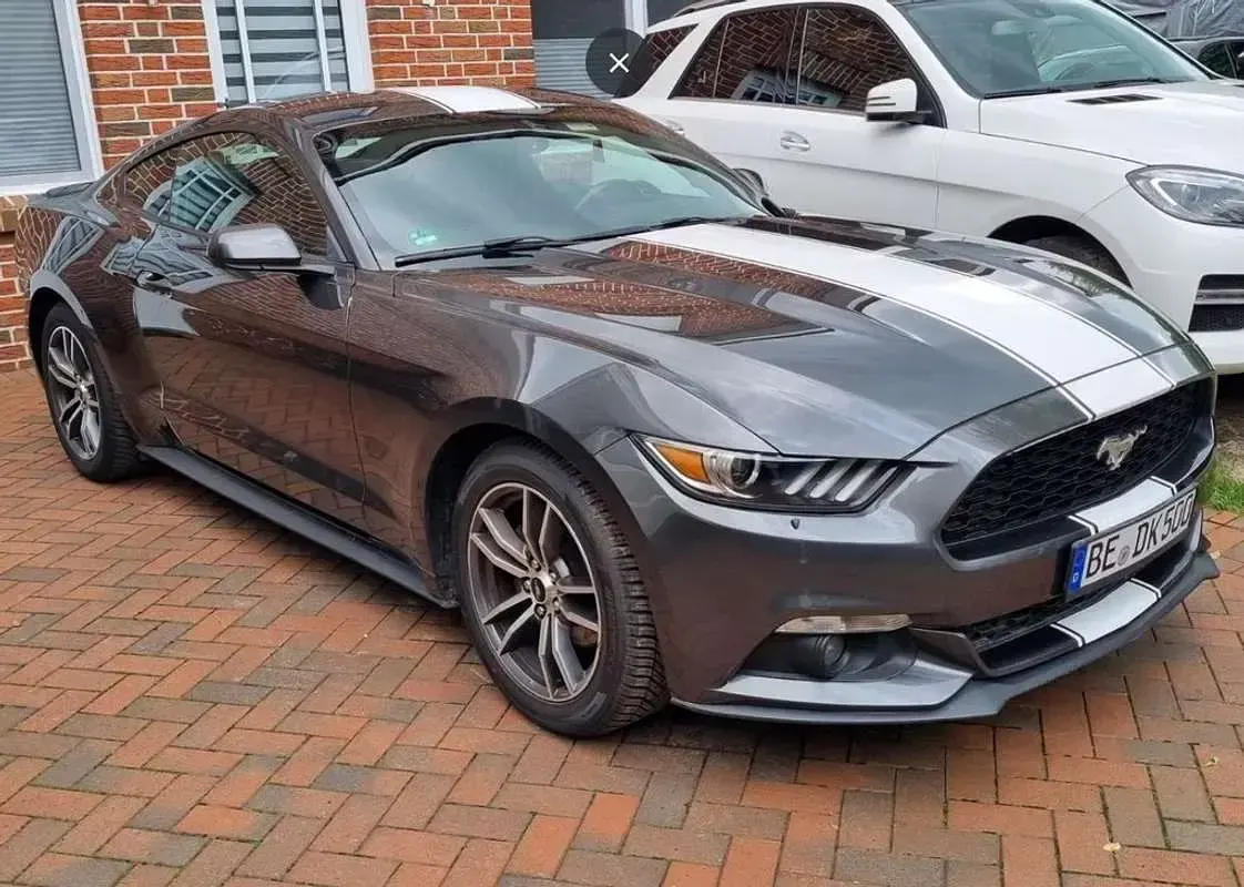 Usado Ford Mustang Fastback 314 CV (230 kW) 2017 Gris Coupe