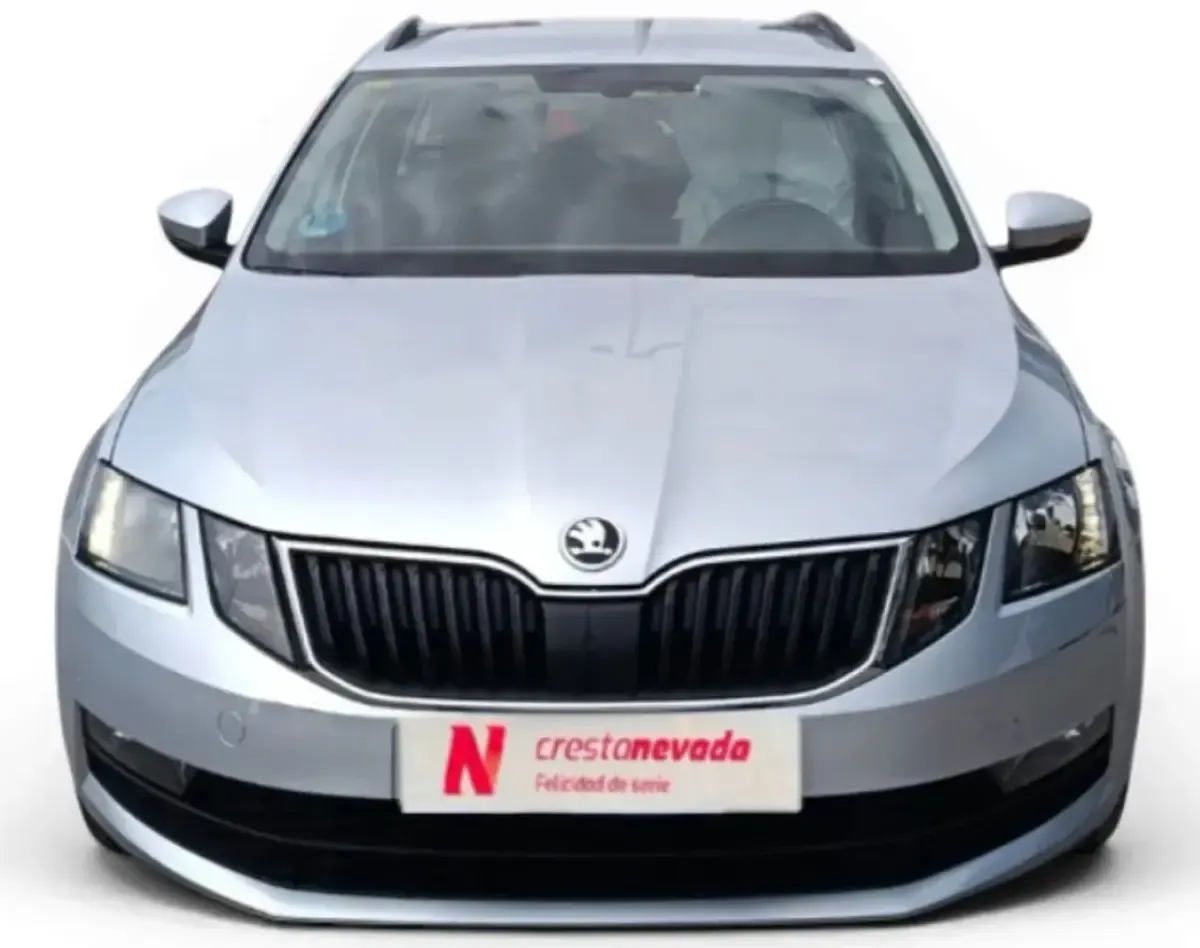 Usado Skoda Octavia G-TEC Ambition 130 CV (95 kW) 2020 Gris