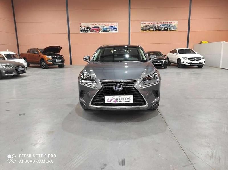 Usado Lexus NX300h 197 CV (144 kW) 2021 Gris SUV