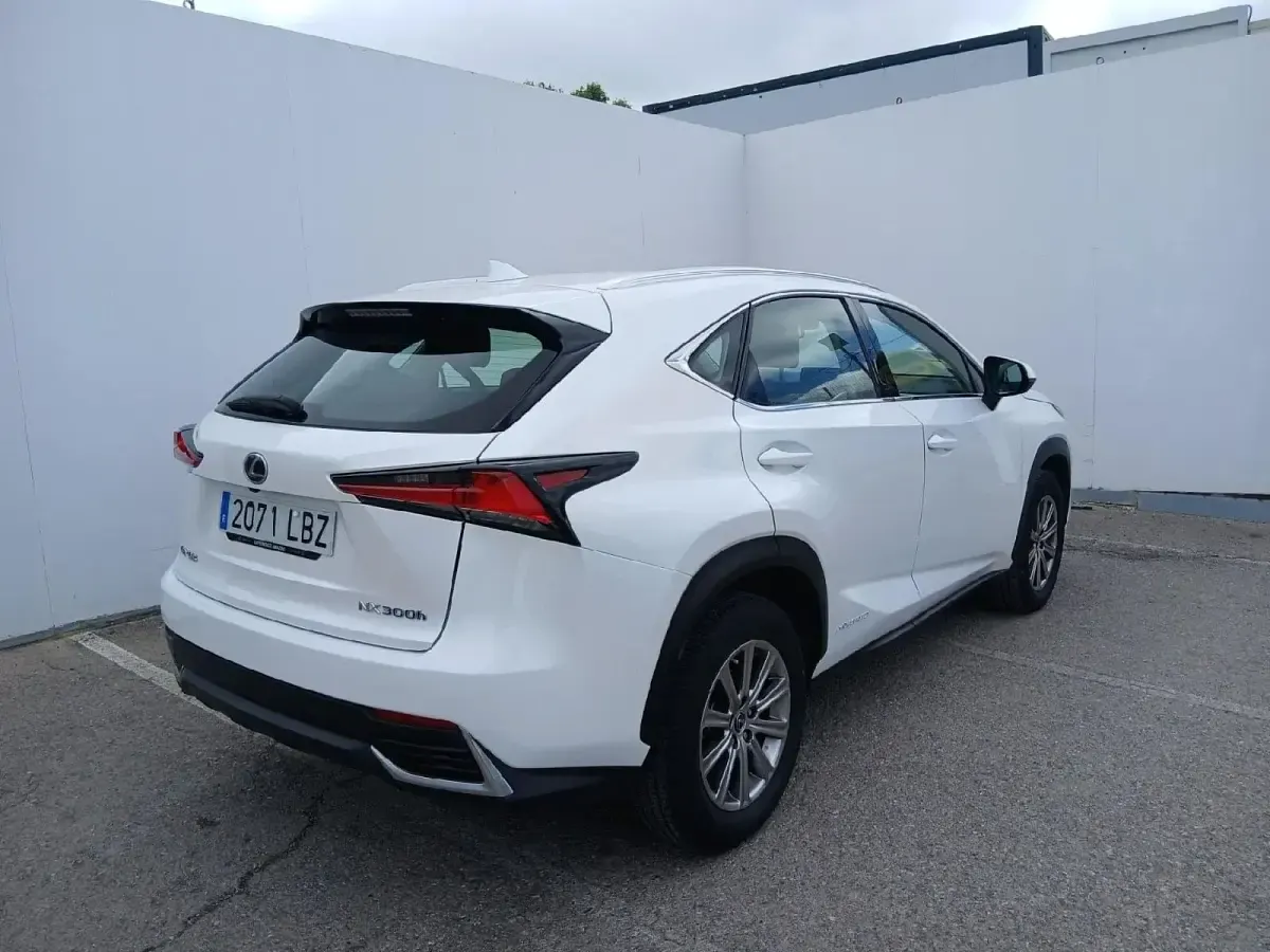 Usado Lexus NX300h Business Edition 197 CV (144 kW) 2019 SUV