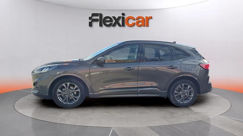 Usado Ford Kuga ST-Line 120 CV (88 kW) 2024 Gris SUV