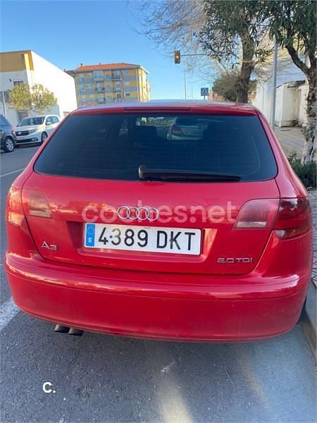 Usado Audi A3 Ambition 140 CV (102 kW) 2005 Rojo Utilitario