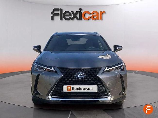 Usado Lexus UX Executive Line 184 CV (135 kW) 2019 Gris SUV