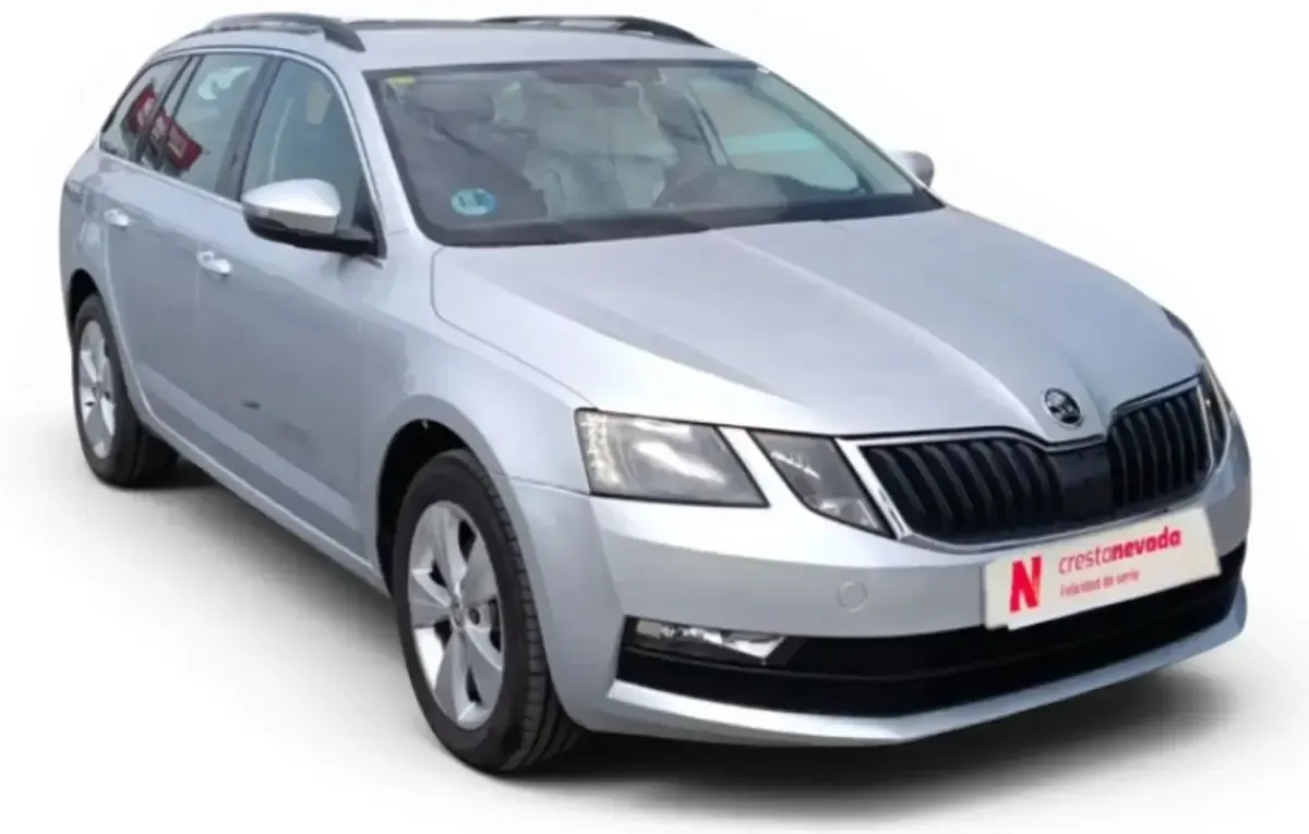 Usado Skoda Octavia G-TEC Ambition 130 CV (95 kW) 2020 Gris