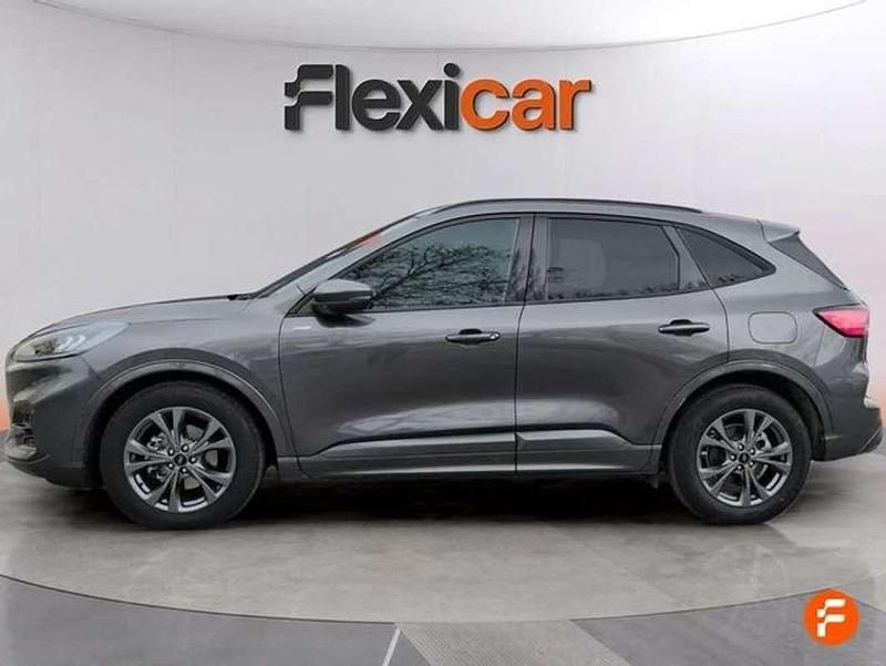 Usado Ford Kuga ST-Line 120 CV (88 kW) 2024 Gris SUV