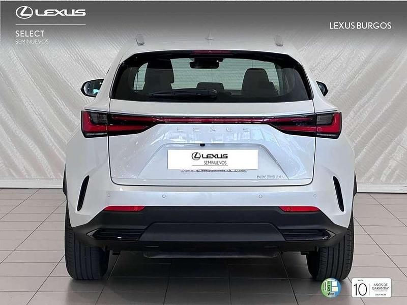 Usado Lexus NX300 245 CV (180 kW) 2024 Blanco SUV