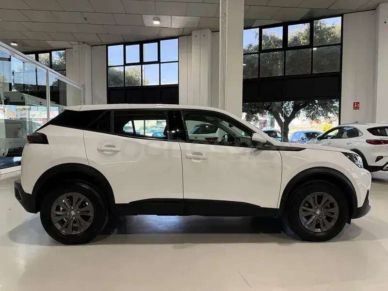 Usado Peugeot 2008 Active 110 CV (80 kW) 2021 Blanco SUV