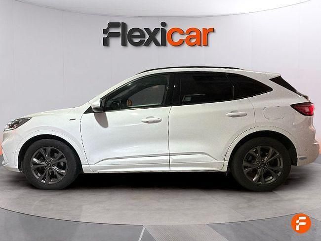 Usado Ford Kuga ST-Line X 150 CV (110 kW) 2022 Blanco SUV
