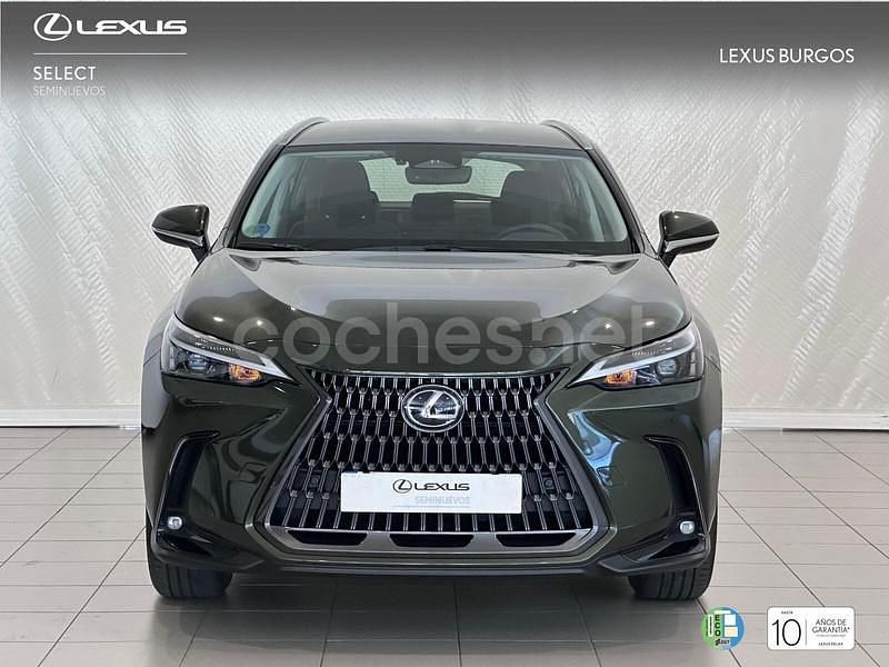 Usado Lexus NX350h 243 CV (178 kW) 2025 Verde SUV