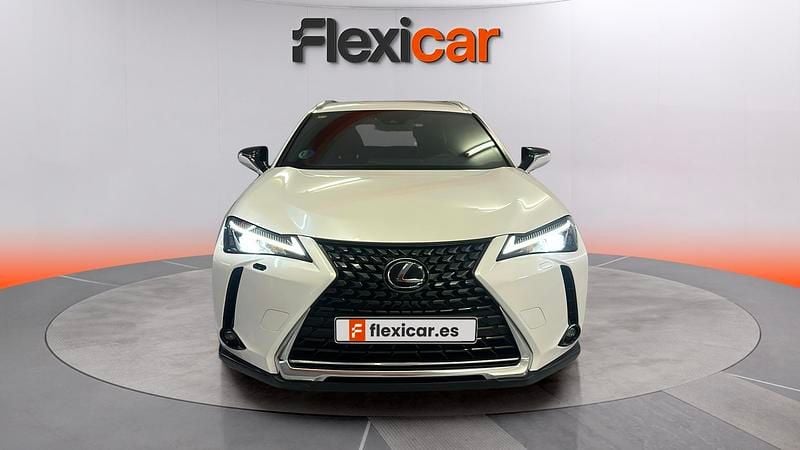 Usado Lexus UX Business Edition 184 CV (135 kW) 2020 Blanco SUV