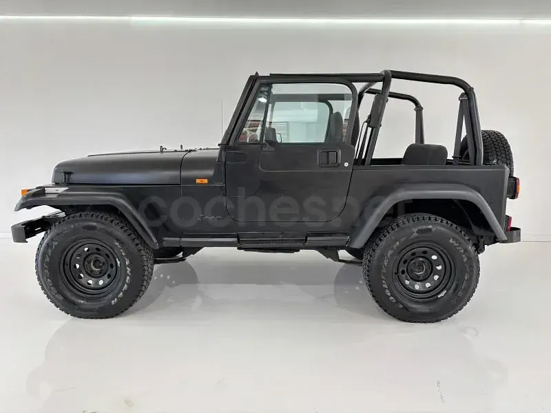 Usado Jeep Wrangler 121 CV (88 kW) 1995 Negro SUV