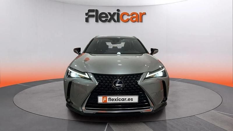 Usado Lexus UX Business Edition 184 CV (135 kW) 2019 Gris SUV